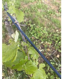 Câble chauffant pour vignes E-viti